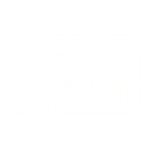 visa icon