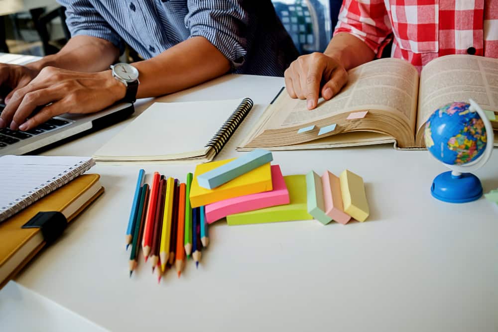 Best courses to study in New Zealand