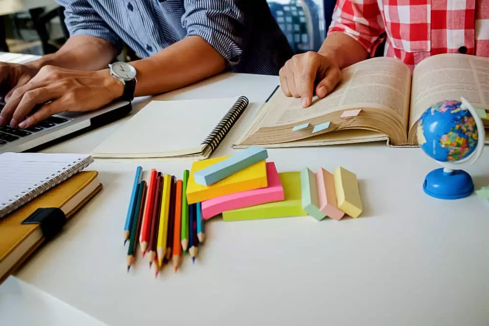 Best courses to study in New Zealand