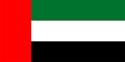 UAE Flag icon